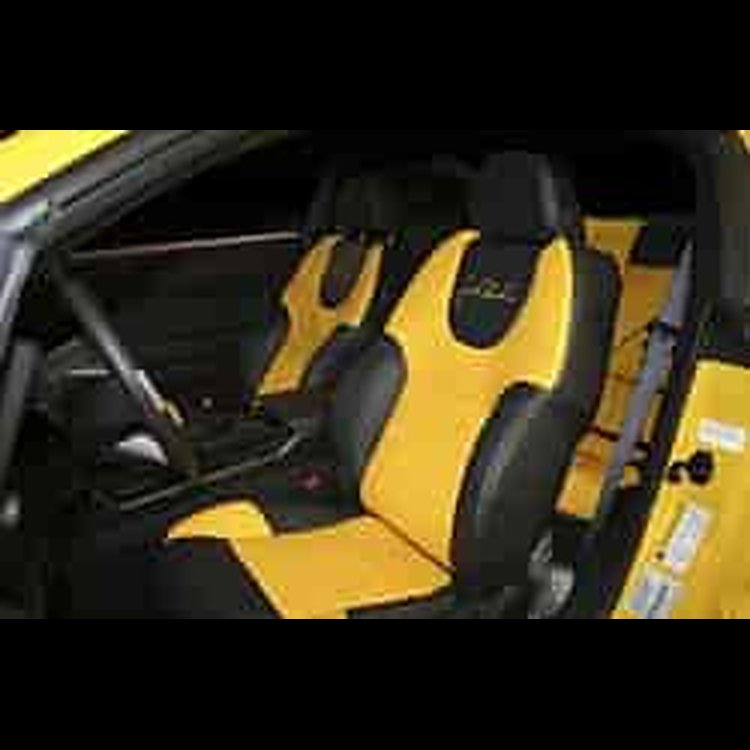 Leather Seat 2005-07 Ford Mustang Coupe