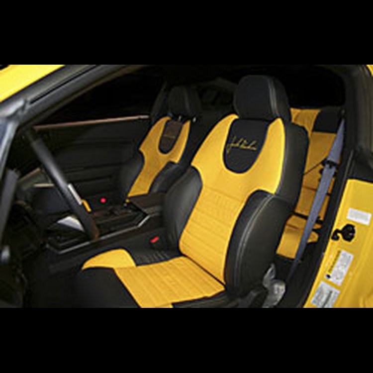 Leather Seat 2005-07 Ford Mustang Convertible