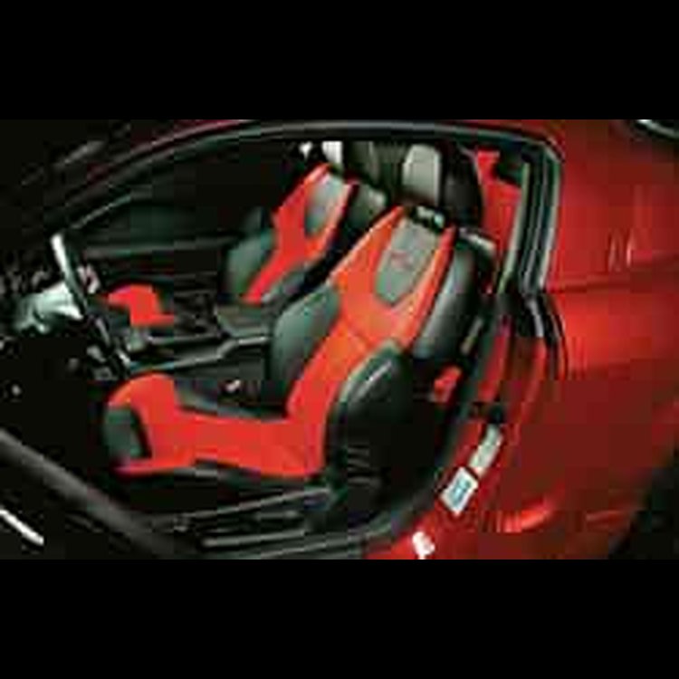 Leather Seating 05-07 Mustang Convertible Char