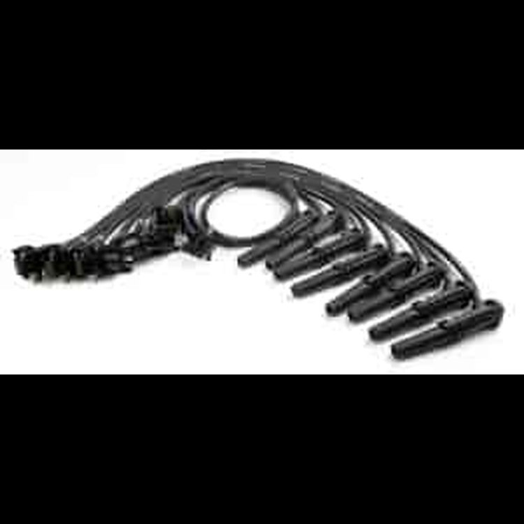 Spark Plug Wire Set 4.6L 2V