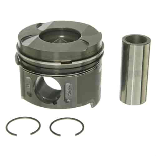 Piston w/Rings