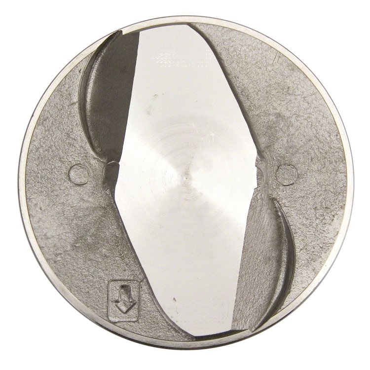 CAST PISTON 396.030