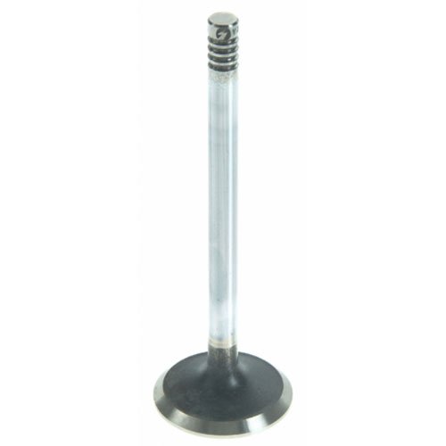 Exhaust Valve 1970-77 Ford 5.8L/6.6L