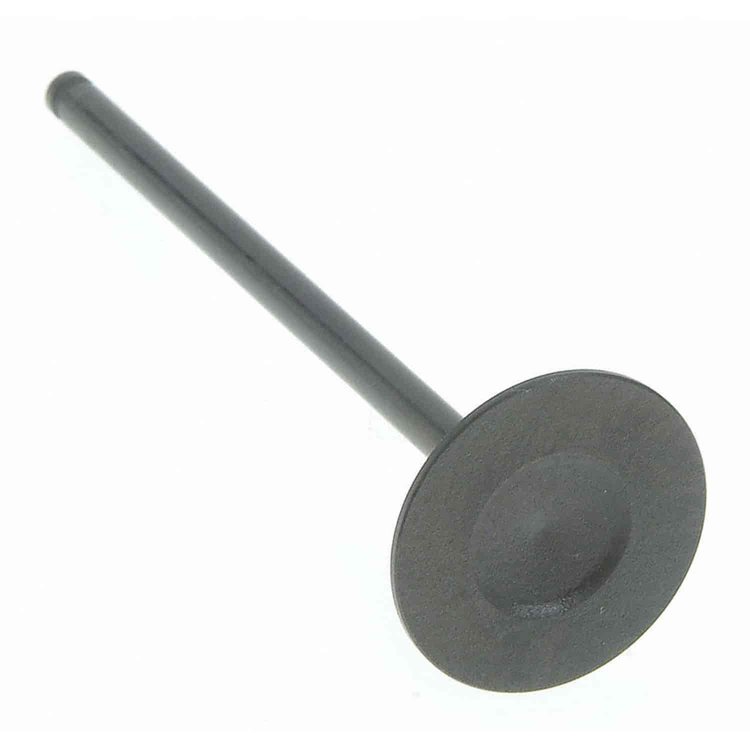 Valve Intake