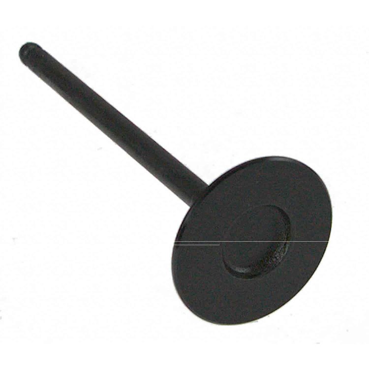 Valve Intake