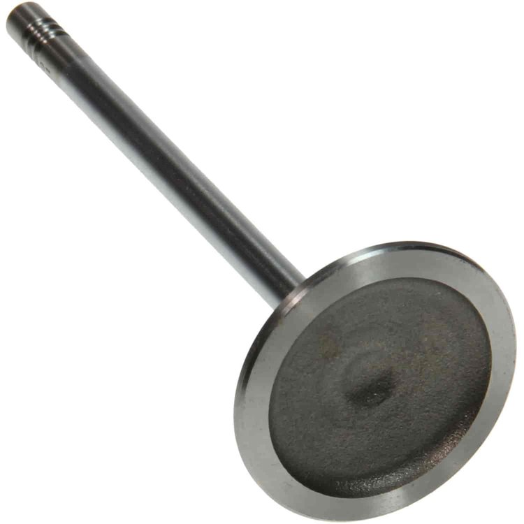 Valve Intake