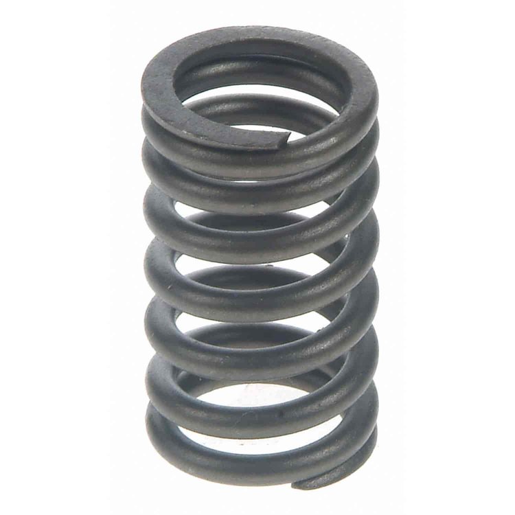 Valve Spring