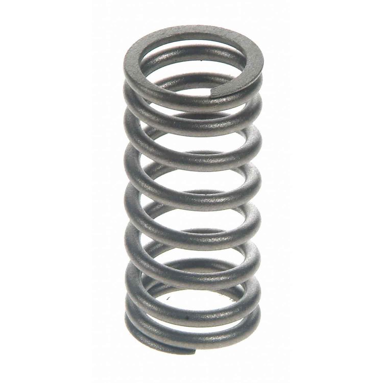 Valve Spring