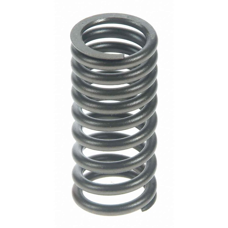 Valve Spring