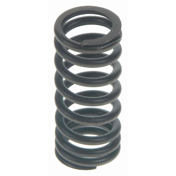Valve Spring