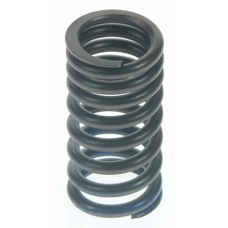 Valve Spring