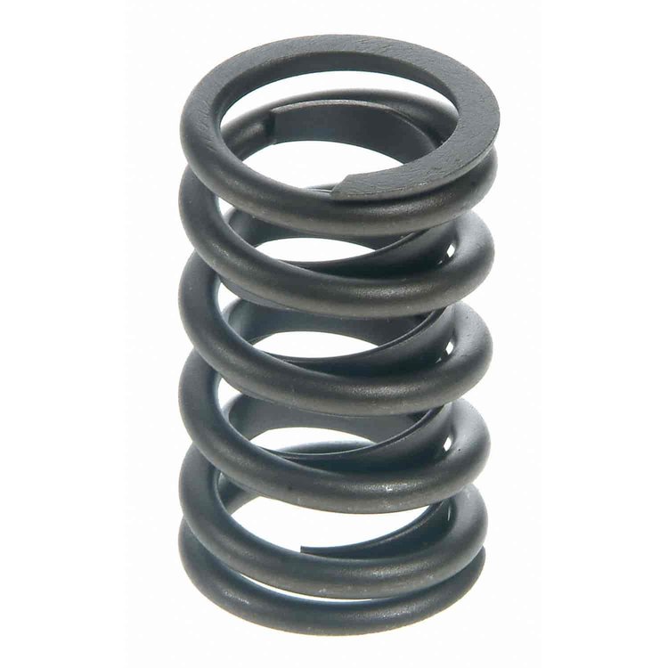Valve Spring