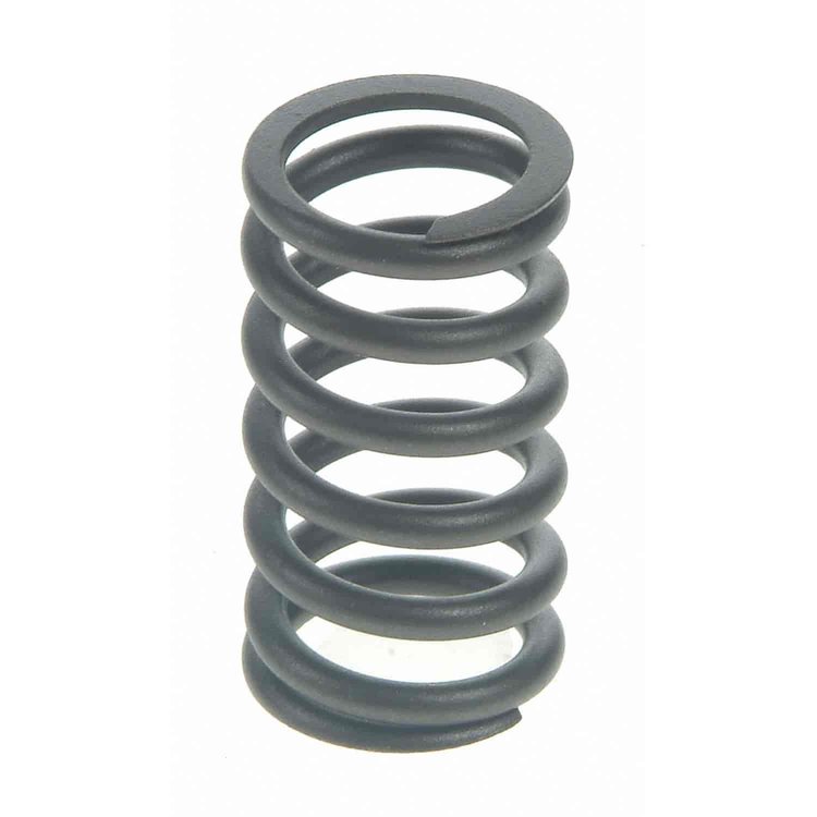 Valve Spring