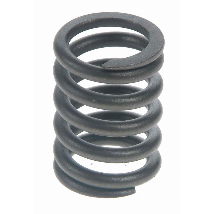 Valve Spring