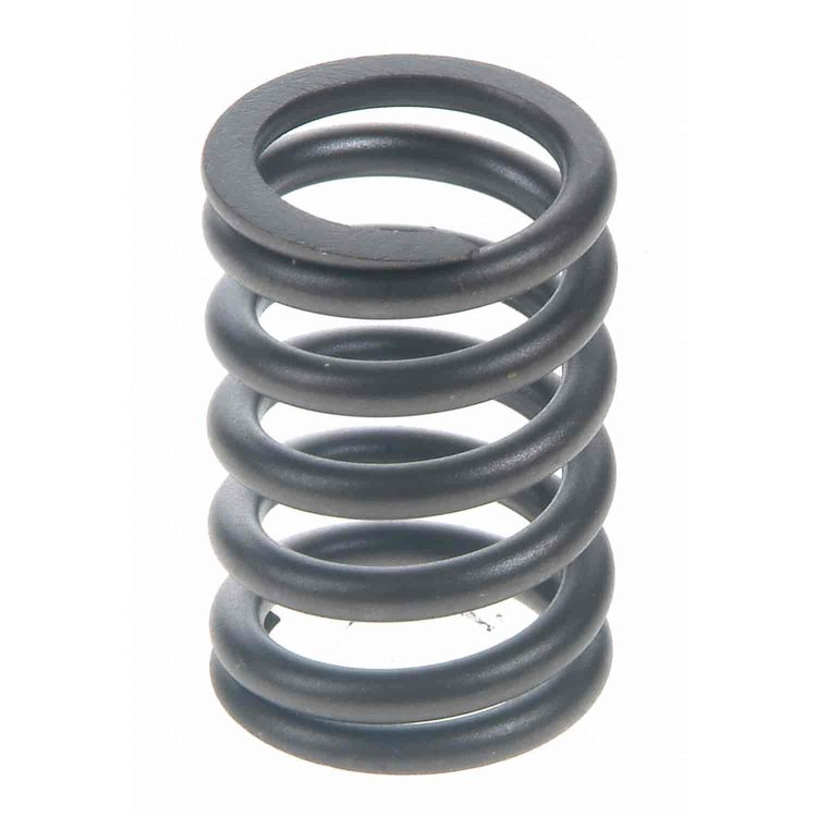 Valve Spring
