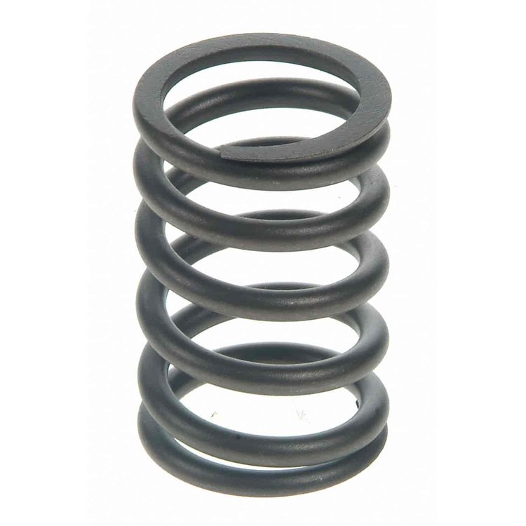 Valve Spring