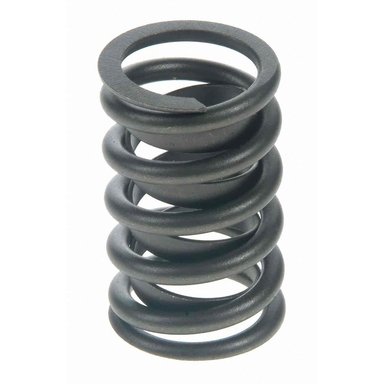 Valve Spring