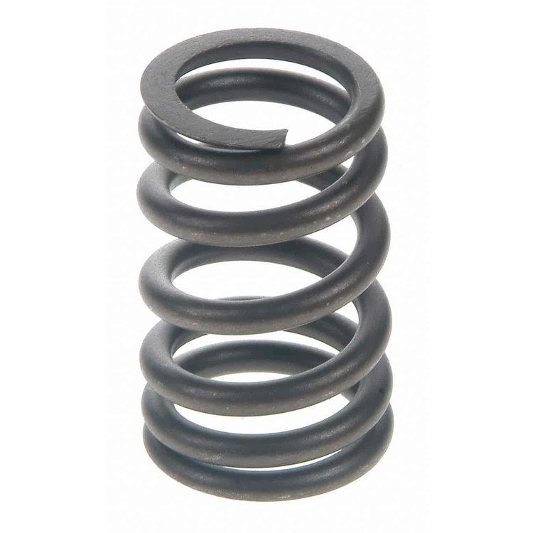 Valve Spring