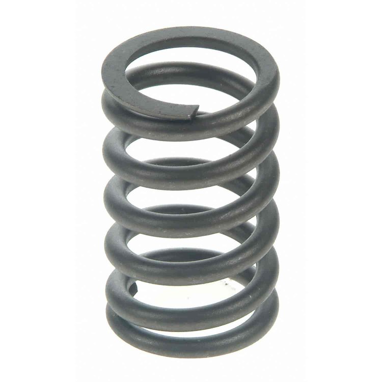 Valve Spring
