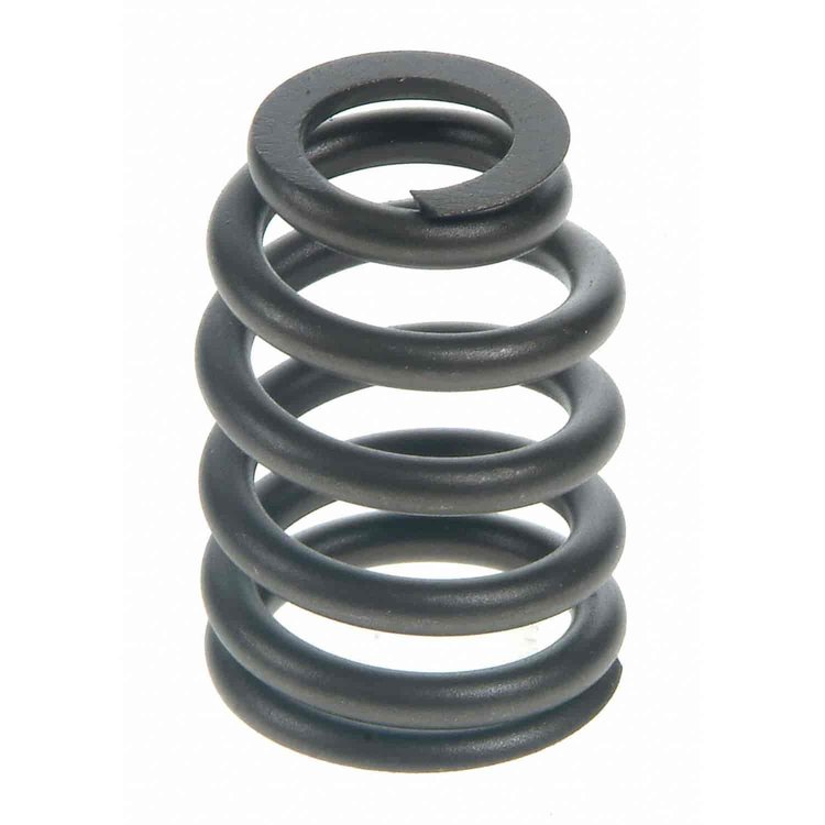 Valve Spring