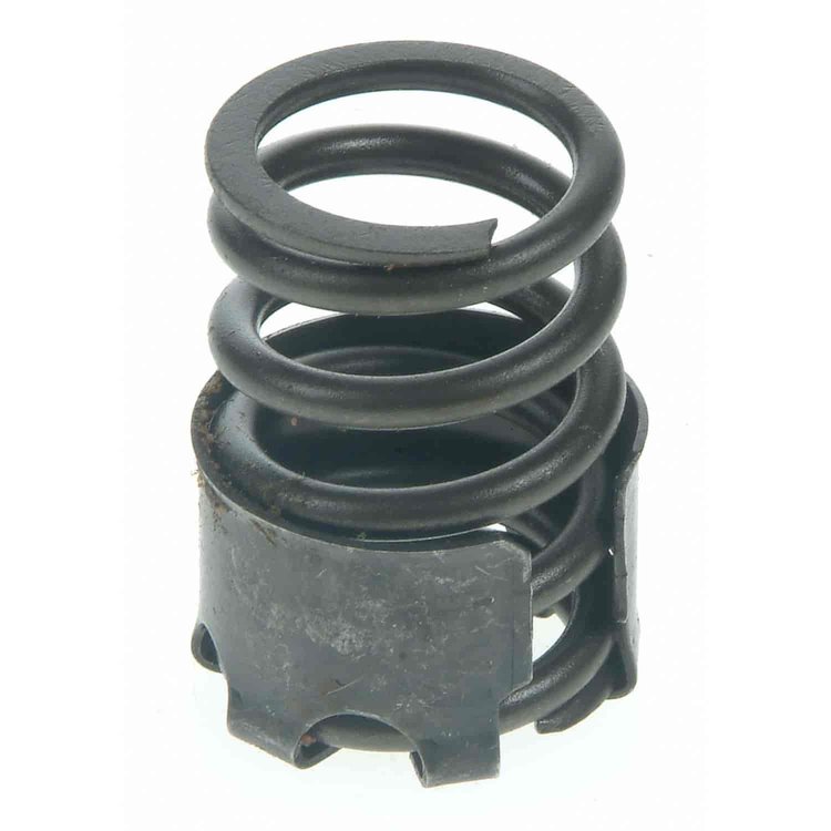Valve Spring