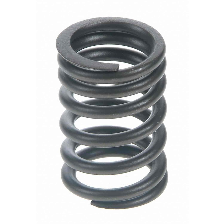 Valve Spring