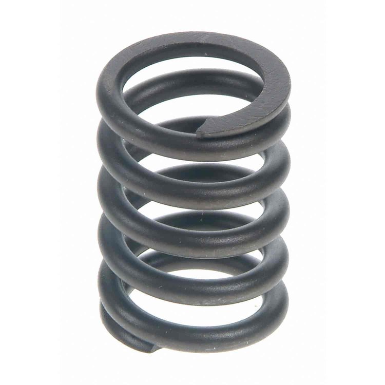 Valve Spring