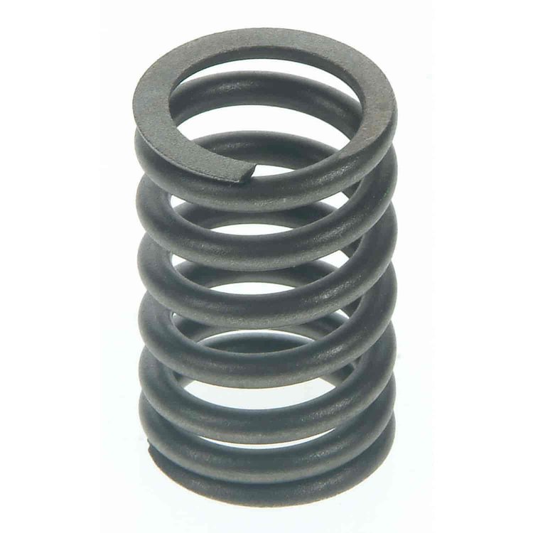 Valve Spring
