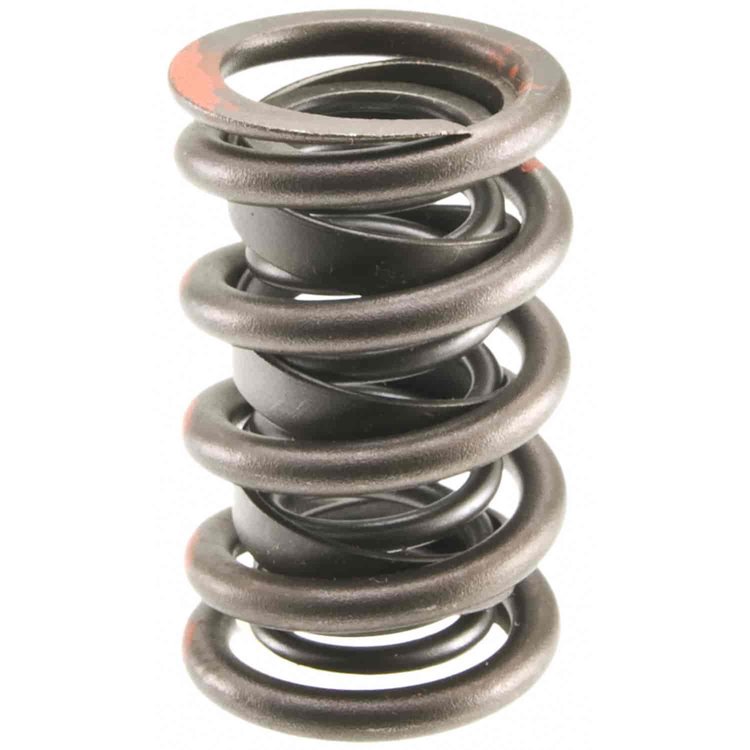 Valve Spring