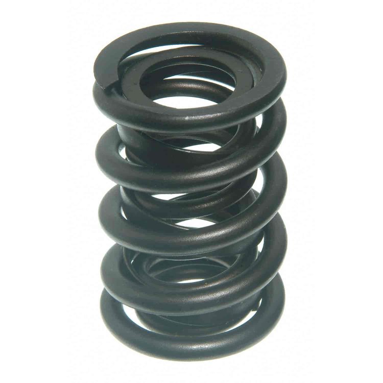 Valve Spring
