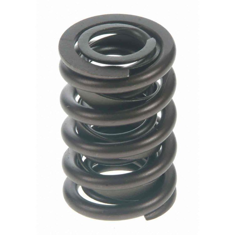Valve Spring