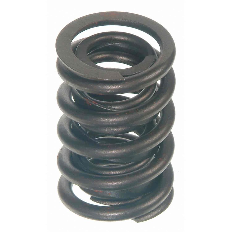 Valve Spring