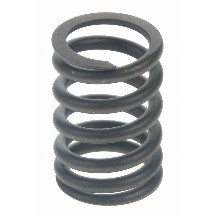 Valve Spring