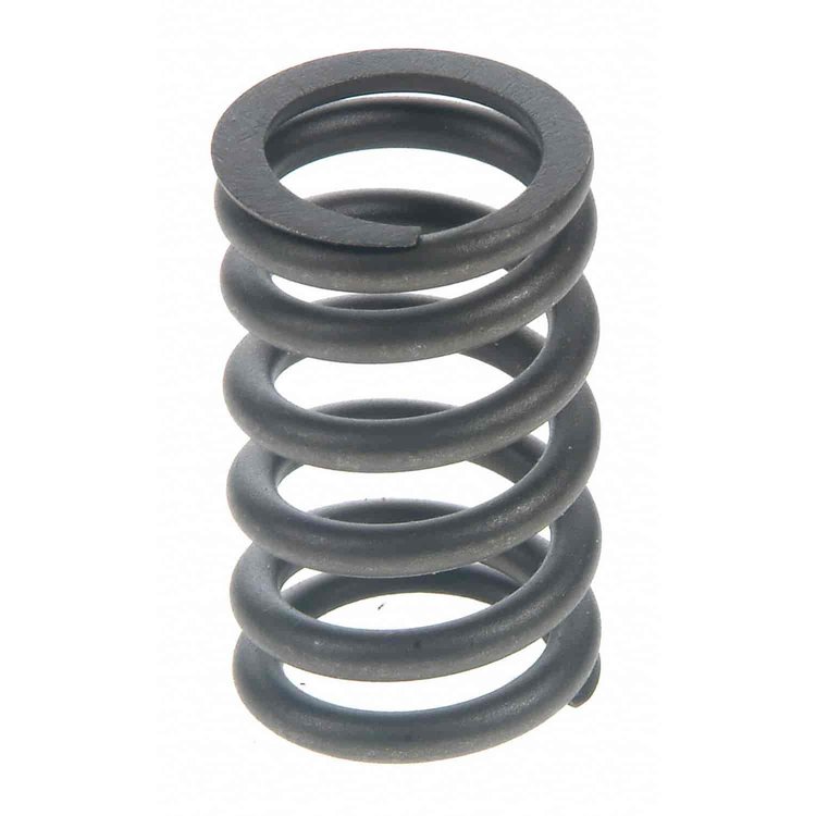 Valve Spring