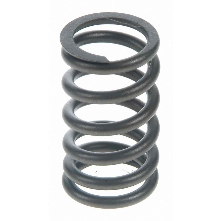 Valve Spring