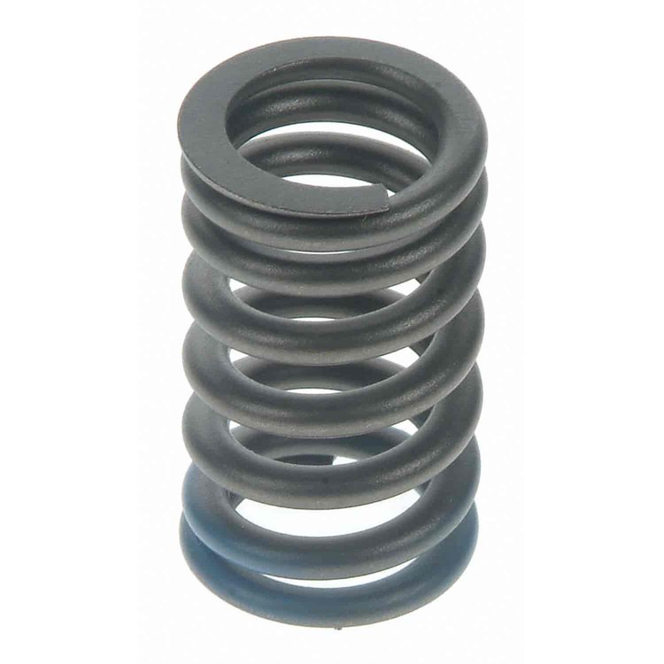Valve Spring