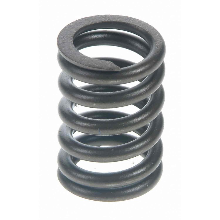 Valve Spring