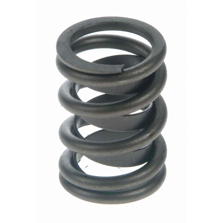 Valve Spring