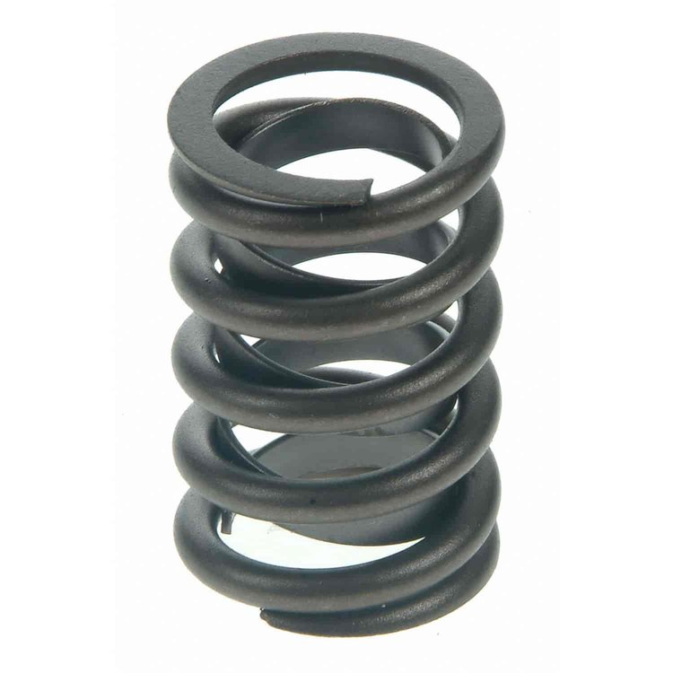 Valve Spring