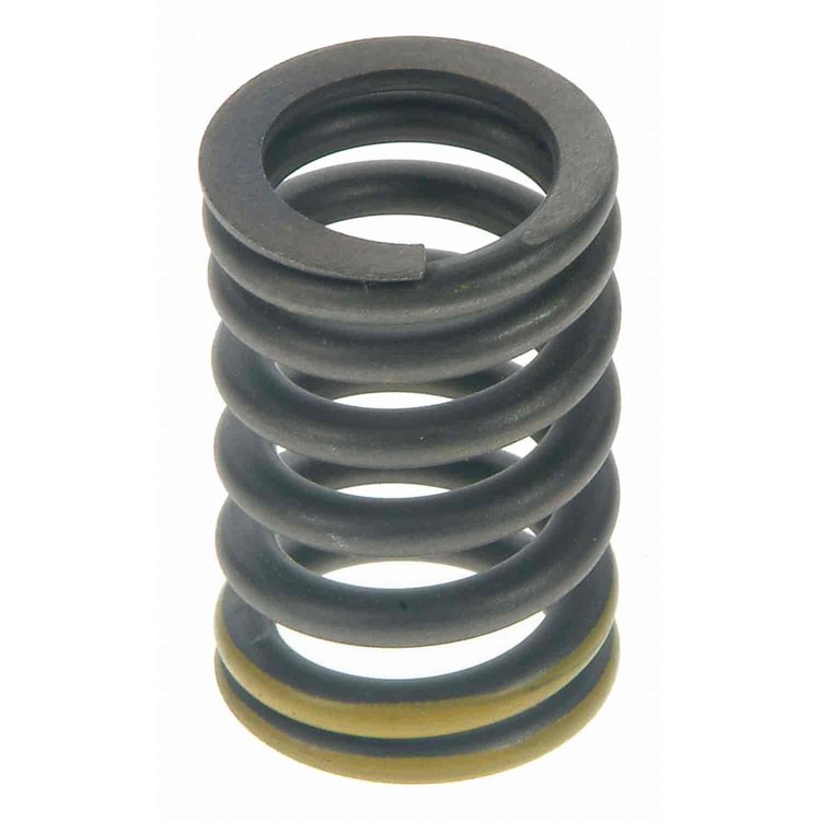 Valve Spring