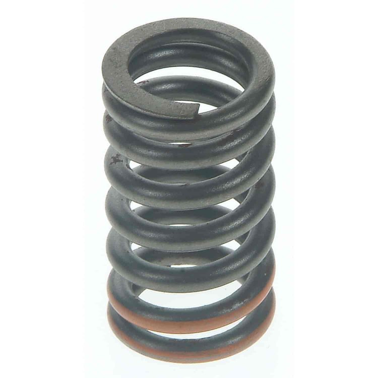 Valve Spring