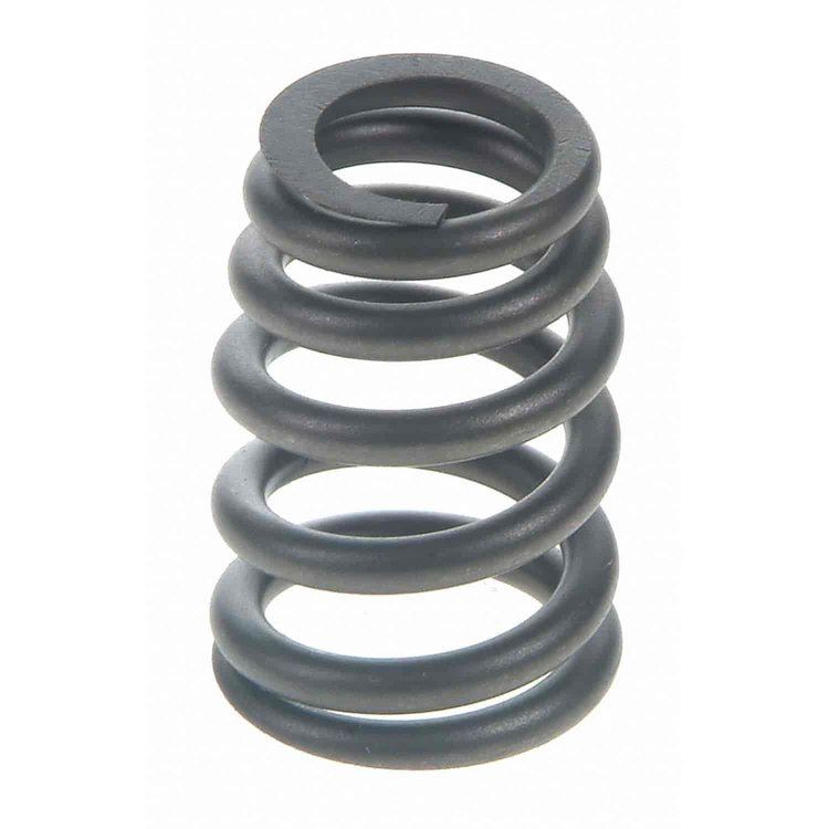 Valve Spring