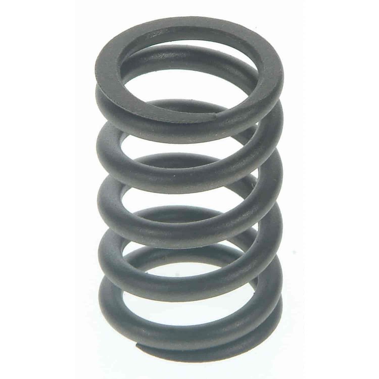 Valve Spring