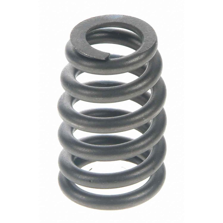 Valve Spring