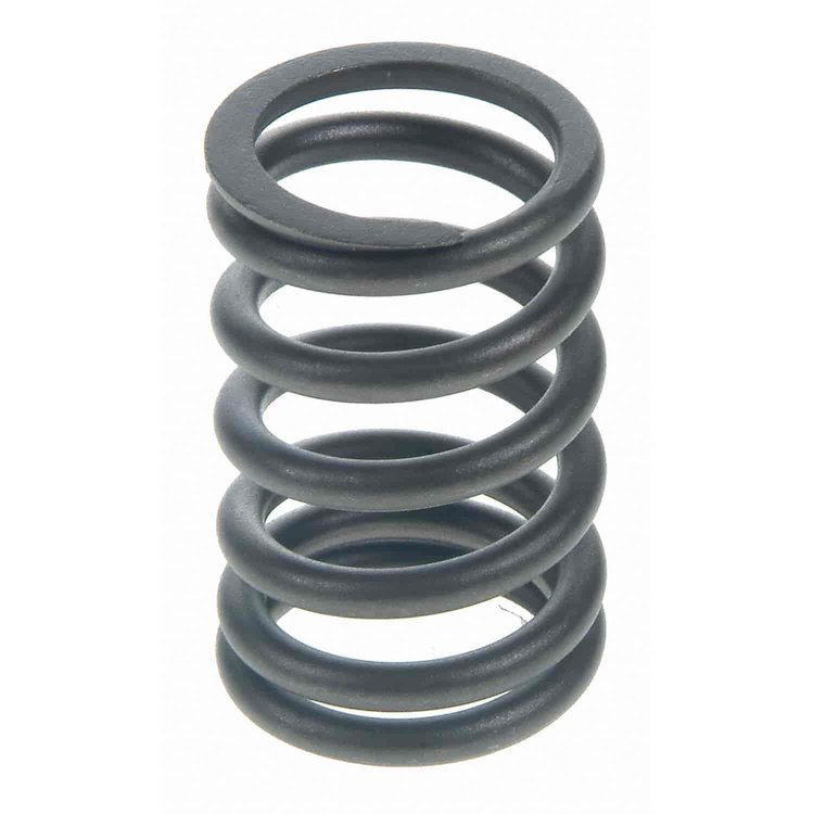 Valve Spring