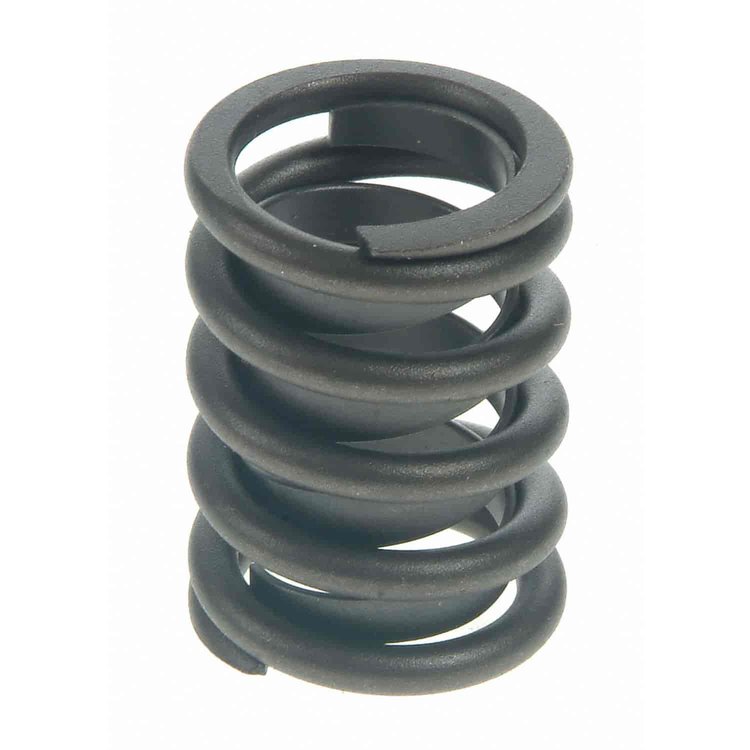 Valve Spring