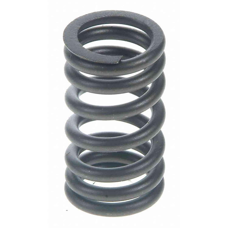 Valve Spring
