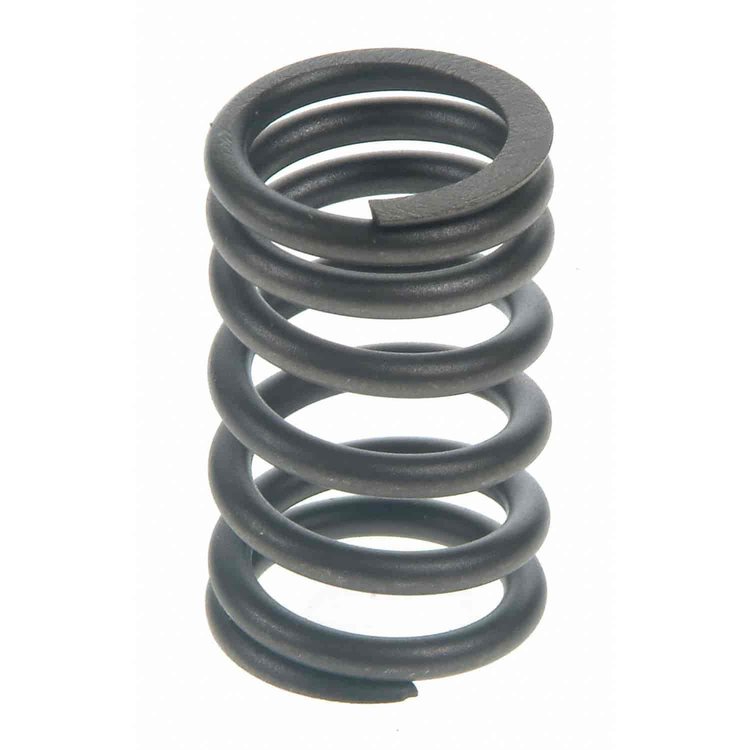 Valve Spring
