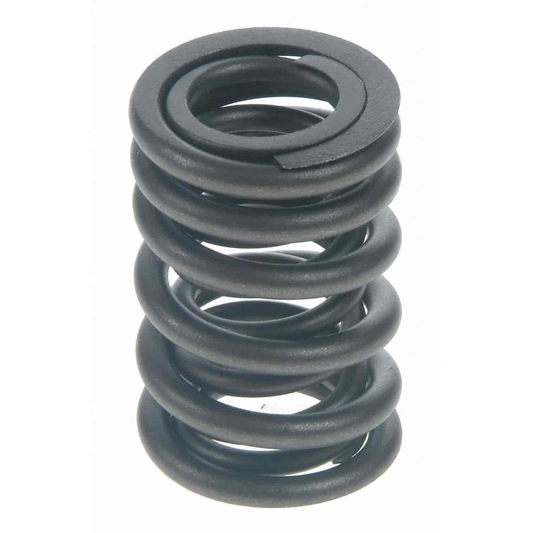 Valve Spring