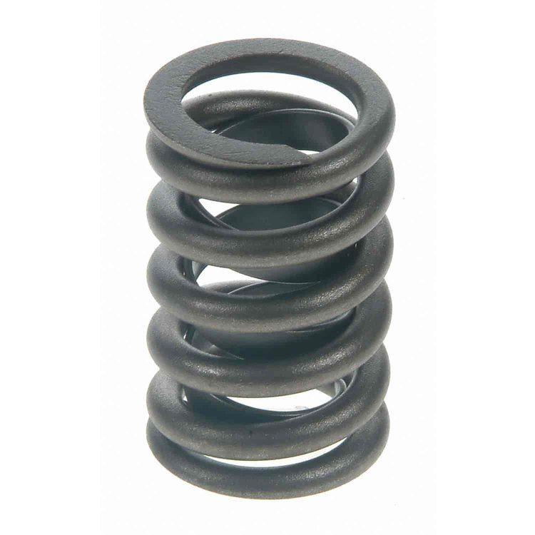 Valve Spring